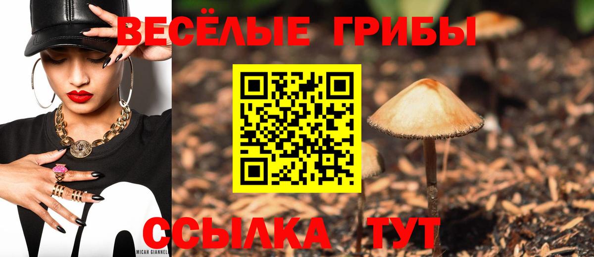 Галлюциногенные грибы ЛСД Прокопьевск